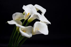 Barry Anderson Funeral